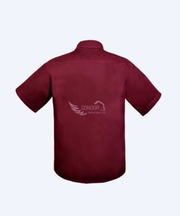 Camisa Caballero Modelo 2